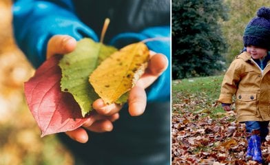 Bild till artikeln Höstlovet 2024: Det händer i din stad